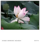 DSC02166