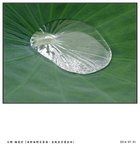 DSC02169