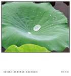 DSC02172