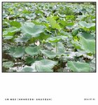DSC02174