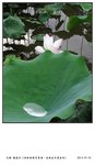 DSC02188