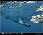 20090129_e17b682dbff84f6dce2azJXQgBmW2DW3