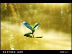 20090411_89c50472692c4ffa92f2CjM8SK6ogk98