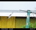 20090417_1c3e6c12e7fb69b4509fkZPEbGmEsay0