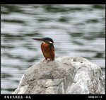 20090417_614b6a4e7f41af0e836fKQuvhMk0n2bT