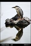 20090417_76a242092bfe7d2ada3cvO9mYmIRsdAZ
