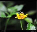 20090526_39926e02a1b3efec45ede8QCQGKExf8w