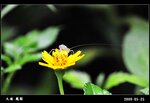 20090526_992ebf6ea68863a26c6bk2LOM8fxGu60