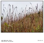 20140217_553b76316293ab3af80cze88i0cZ5Q1c