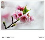 20140311_a1b3c40aa1a77c3d522aIHj1lr1ZjHR1