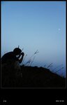 20141028_1d0eedc12b54a6e695bcdXG6GjrecXYc