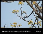 20150216_3b990e7407f0179201dbdffMz8fZZ6eD