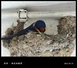 20150526_127e015c02f3564b6615Mr0MEQvQRe6R