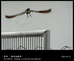 20150526_6d09f356e38ec8c33cbf74GXcE7ECVCu