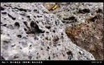P1350897