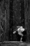 1028 Vanessa 527 bw