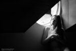 4019 disha 291 bw