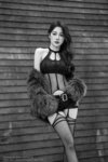5034 Dacy 233 bw
