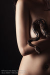 Nude with Snake II  005