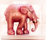 Elephant 839