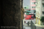 Street 001