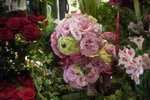 Oasis Florist 09-019