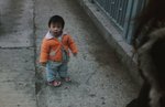 IMG027
