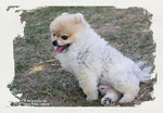 IMG_1056.JPGs