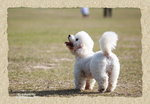 IMG_1110.JPGs