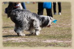 IMG_1217.JPGs