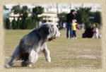 IMG_1223.JPGs