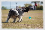 IMG_1224.JPGs