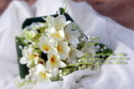 IMG_6937.jpgi