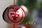 IMG_0836s