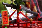 IMG_0848s