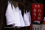 IMG_0886qs