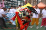 IMG_1095s