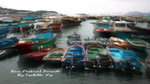 IMG_1483s