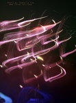 IMG_2935.jpgi