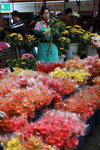 IMG_8267.jpgs