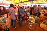 IMG_8271.jpgs