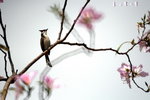 IMG_1739.jpgs.jpgs