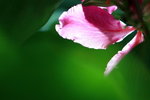 IMG_1748.jpgs