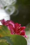 IMG_1782.jpgs