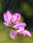 IMG_2524.jpgi