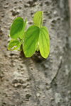 IMG_2538.jpgi