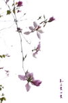 IMG_9127.jpgs