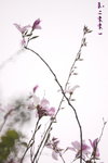 IMG_9180.jpgs