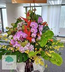 $1200
1722958215170