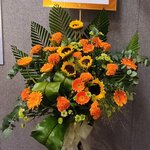 $700
IMG-20240802-WA0028